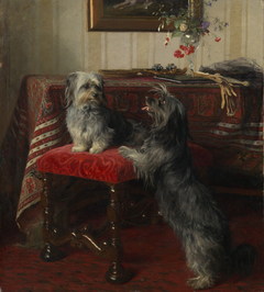 Dot and Cairnach, Skye terriers by Otto Weber