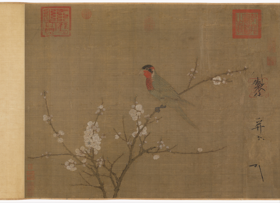 Five-colored parakeet on a blossoming apricot tree