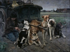 Flemish Dog Team
