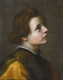 Head of a Youth by Francesco Curradi