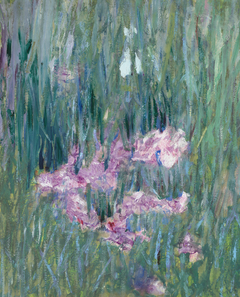 Japanese Irises by Alfred Quinton Collins