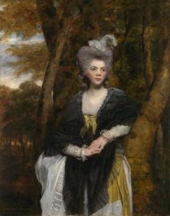 Lady Frances Finch by Joshua Reynolds