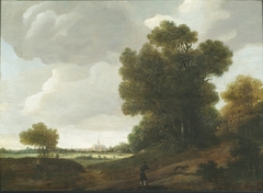 Landscape with Haarlem in the background