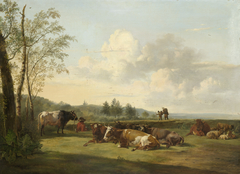 Landschap met vee