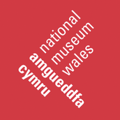 National Museum Wales (Amgueddfa Cymru)