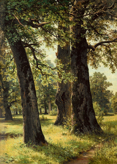 Oaks by Ivan Shishkin