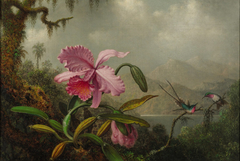 Orchids and Hummingbirds by Martin Johnson Heade