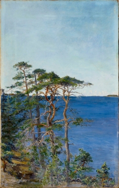 Pines by the Sea by Sigrid Granfelt