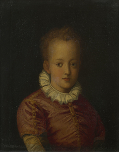 Portrait of a Boy in a Ruff by Anonymous