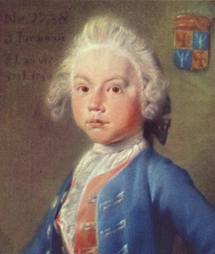 Portrait of Hendrik Fabricius (1738-1808) by Tako Hajo Jelgersma