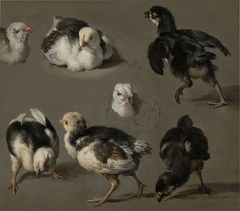 Seven Chicks by Melchior d'Hondecoeter