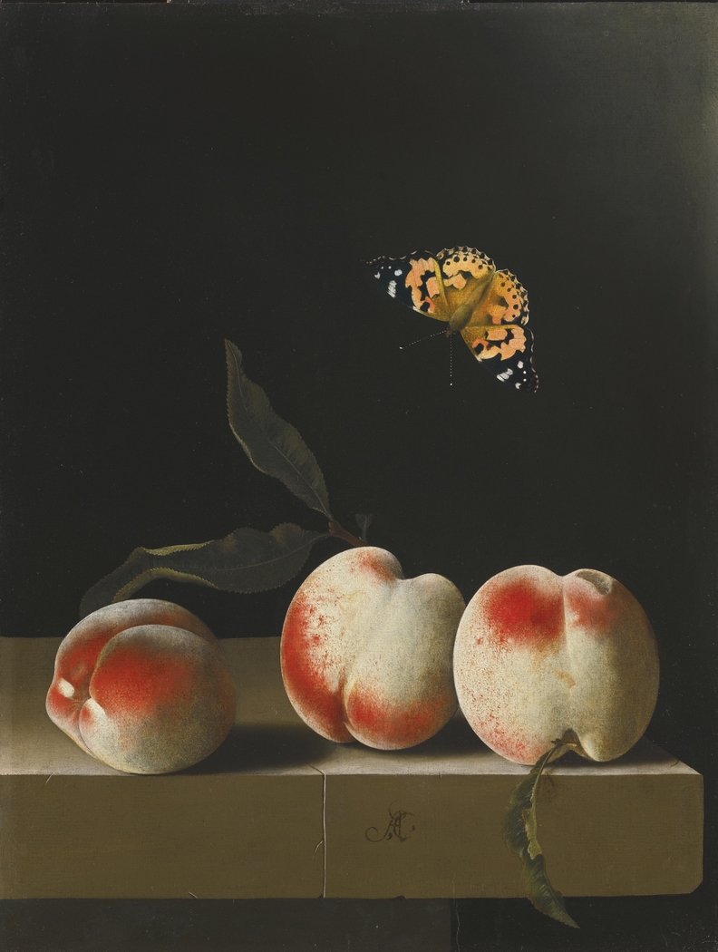 Still life with three peaches on a stone ledge and a butterfly