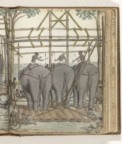 Temmen van een olifant by Jan Brandes