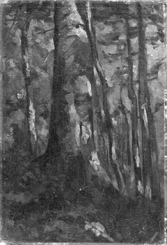 The Interior of a Forest by Gustave Courbet