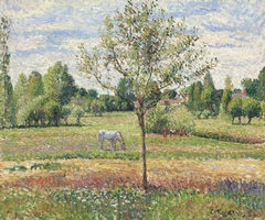 The Meadow with the Grey Horse, Éragny by Camille Pissarro