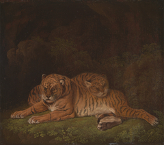 Tiger by Charles Towne
