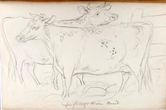 Two Heifers of Ayrshire Breed - James Howe - ABDAG002783.13 by James Howe