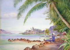 View of Round Island and a Part of St Anne's from Quarantine Island