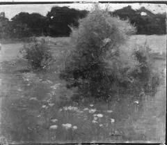 Wiesenlandschaft im Frühling by Arthur Langhammer