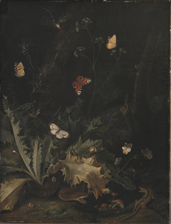 A Forest Floor with a Thistle, a Snake, a Lizard and Butterflies by Otto Marseus van Schrieck