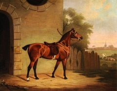 A Saddled Bay Hunter outside a Stable Entrance by Clifton Tomson
