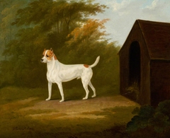 An Old English Terrier by John Nost Sartorius