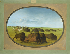 Buffalo Chase, with Accidents by George Catlin