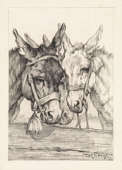 Drie ezels achter een schutting