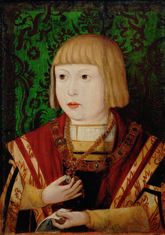 Emperor Ferdinand I (1503-1564) at the age of ten or twelve years by Anonymous