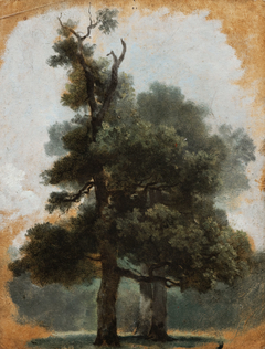 Étude d’un arbre dans le bois de Boulogne by Pierre-Henri de Valenciennes