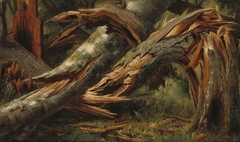 Fallen Tree by Alexandre Calame