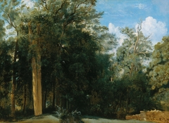 Fontainebleau. Lisière de forêt avec un petit mur by Jean-Baptiste-Camille Corot