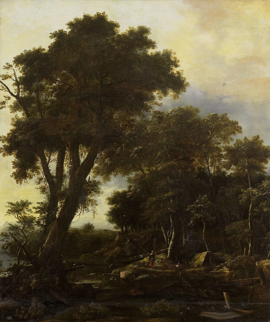 Forest landscape with lean-to
