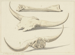 Fossiele beenderen van een oeros, gevonden tijdens de watersnood, 1809 by Hendrik Hoogers