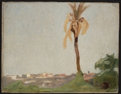 Grave of a holy man – landscape with a palm tree. From the journey to India by Jan Ciągliński