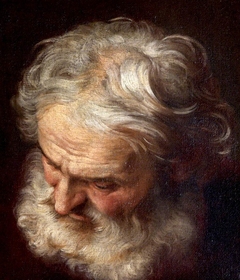 Head of a Bearded Old Man by Anonymous