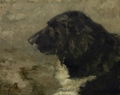 Head of a dog: Nero by Sina Mesdag-van Houten