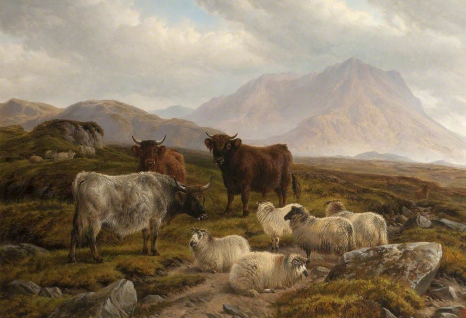 Highland Cattle and Sheep in a Mountainous Landscape