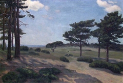 Landscape from Hvaler by Lars Martin Eriksen