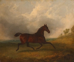 'Pacha', trotting in a Landscape by James Barenger