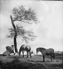 Pasture with Horses and Cattle