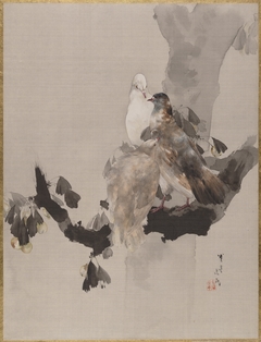 Pigeons in a Tree by Watanabe Shōtei