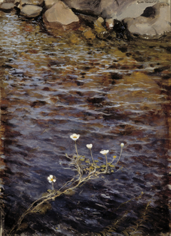 Pond Water Crowfoot ; Pond Weed by Eero Järnefelt