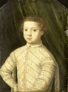 Portrait of a Boy, thought to be Giovanni de' Medici (1543-1562)