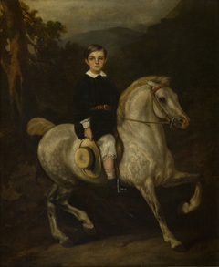 Portrait of General Hauke's Son