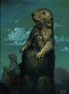 Prairie Dog by Jeff Christensen