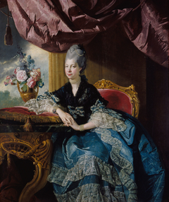 Queen Charlotte (1744-1818) by Johann Zoffany