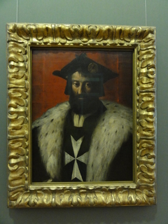Ritratto di Niccolò Vespucci by Parmigianino