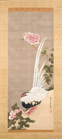 Silver Pheasant and Peonies by Itō Jakuchū