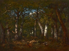 Sous Bois (L'Entrée du Dormoir) by Narcisse Virgilio Díaz